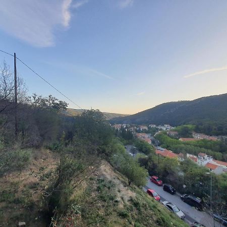 Studio Amelie Les Bains Dış mekan fotoğraf