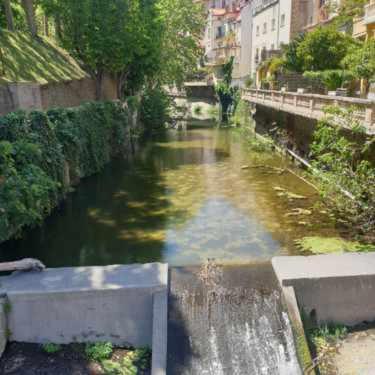 Studio Amelie Les Bains Dış mekan fotoğraf
